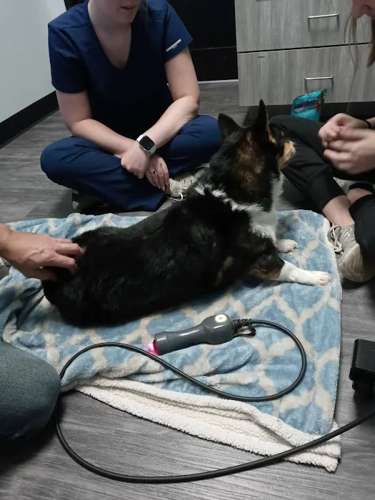 Veterinary Associates Animal Hospital 1