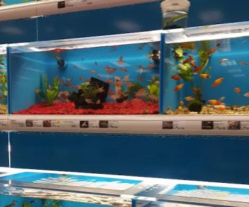 Pet Supermarket