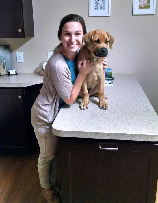Hunter PetCare 12