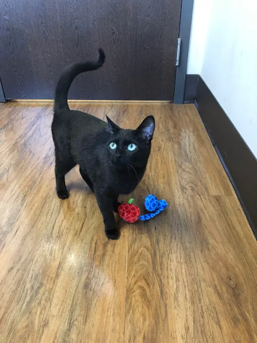 Hunter PetCare 12