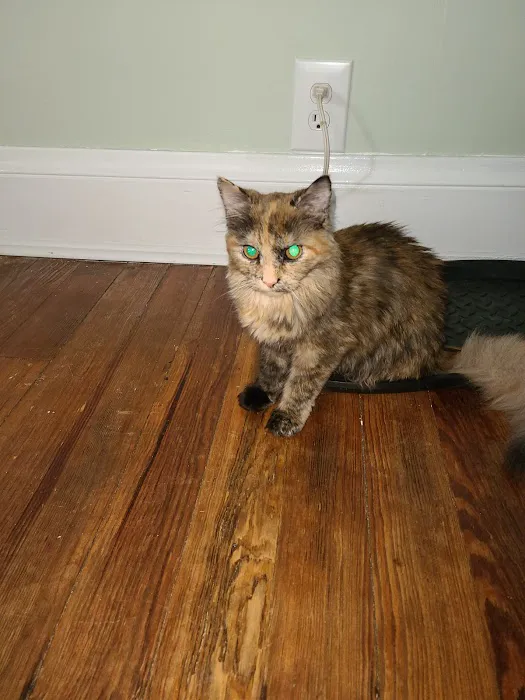Hunter PetCare 12