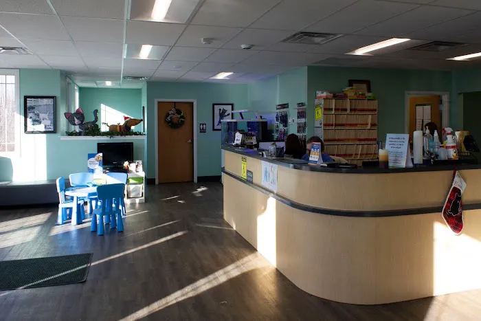 KKM Veterinary Clinic 12