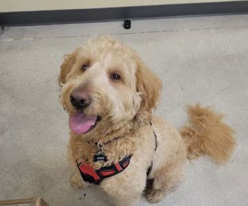 Petco