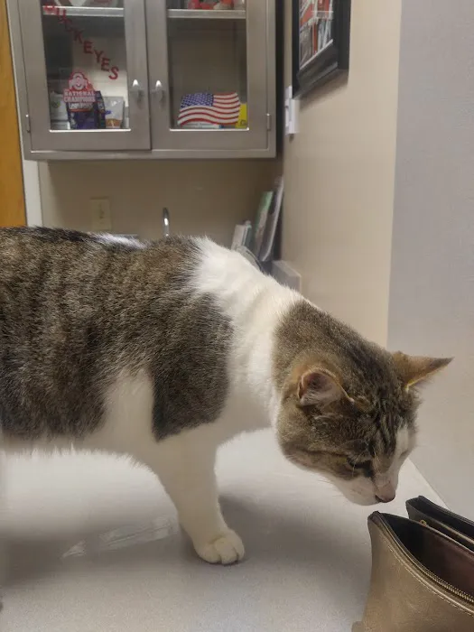 Waynesville Veterinary Hospital 12