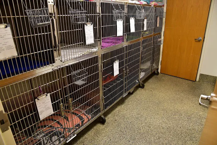 Waynesville Veterinary Hospital 12