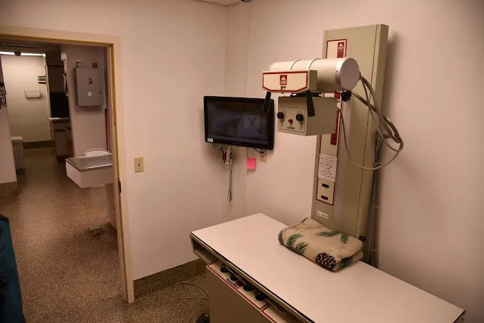 Waynesville Veterinary Hospital 12
