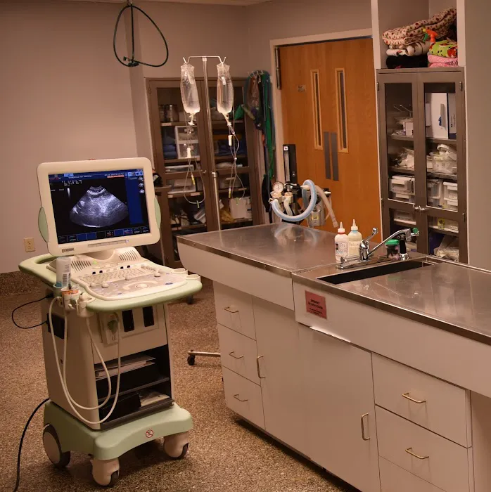 Waynesville Veterinary Hospital 12