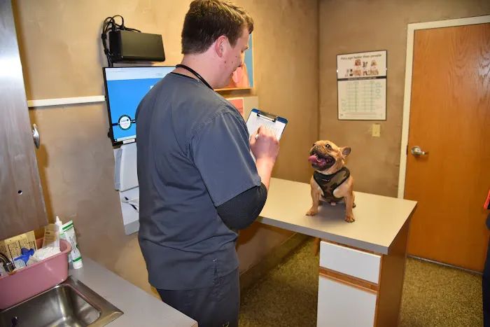 Waynesville Veterinary Hospital 12