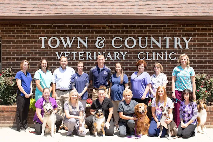 Town and Country Veterinary Clinic 12