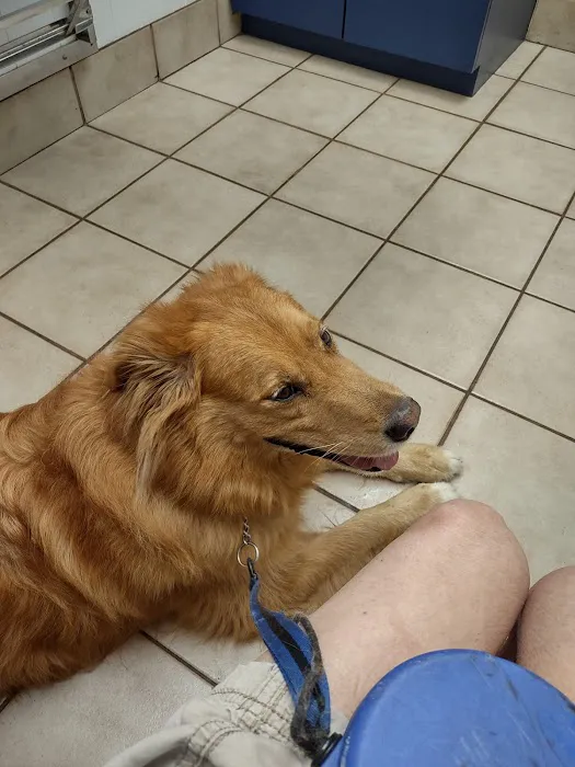 Town and Country Veterinary Clinic 12