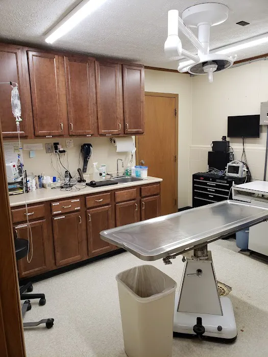 Green Lawn Animal Clinic 12