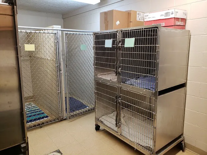Green Lawn Animal Clinic 12