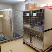 Green Lawn Animal Clinic ico