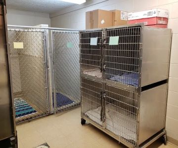 Green Lawn Animal Clinic