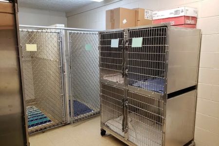 Green Lawn Animal Clinic