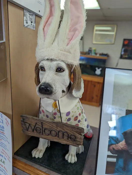 Edgetown Veterinary Clinic And Laser Center 12