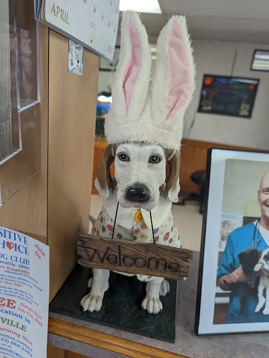 Edgetown Veterinary Clinic And Laser Center 12