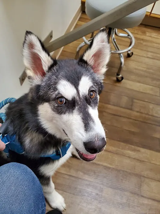 Creature Comforts Veterinary 12