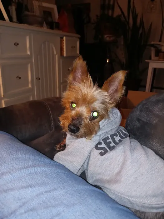 Camden Veterinary Services 12