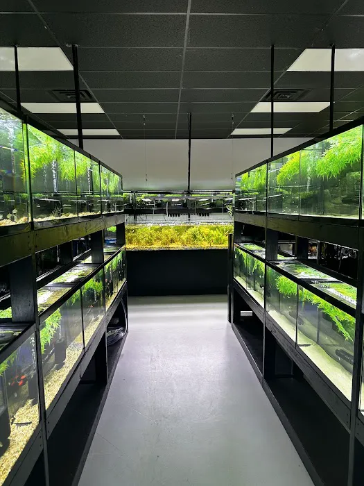 Natural Environment Aquatix 8