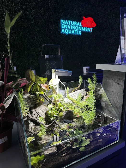 Natural Environment Aquatix 9