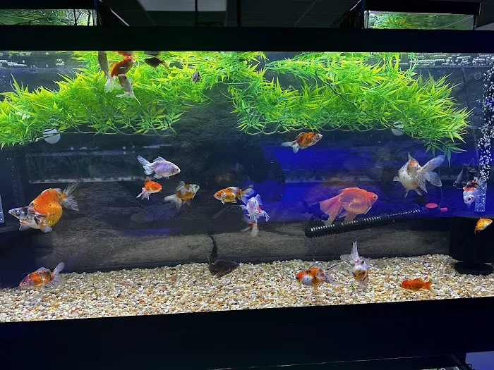 Natural Environment Aquatix 6