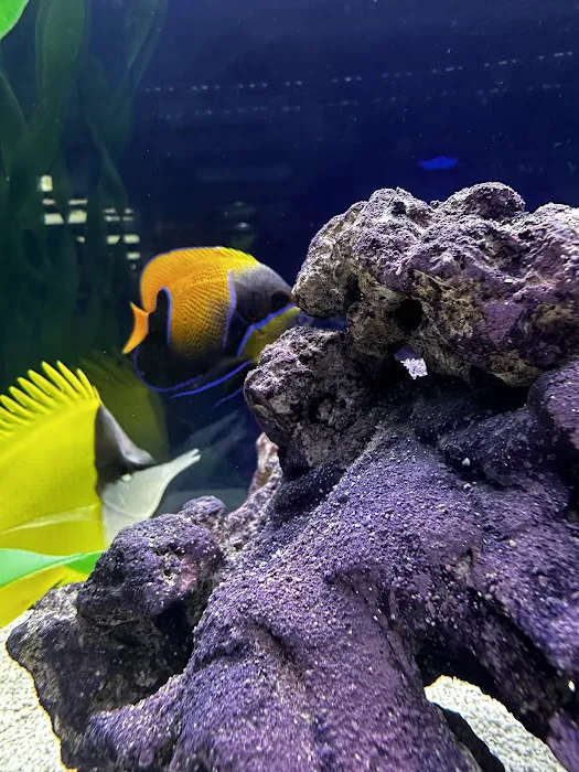 Natural Environment Aquatix 1
