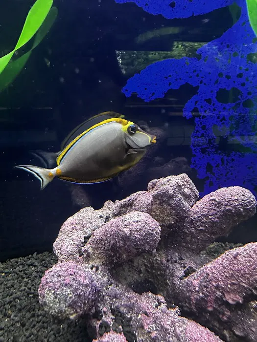 Natural Environment Aquatix 3