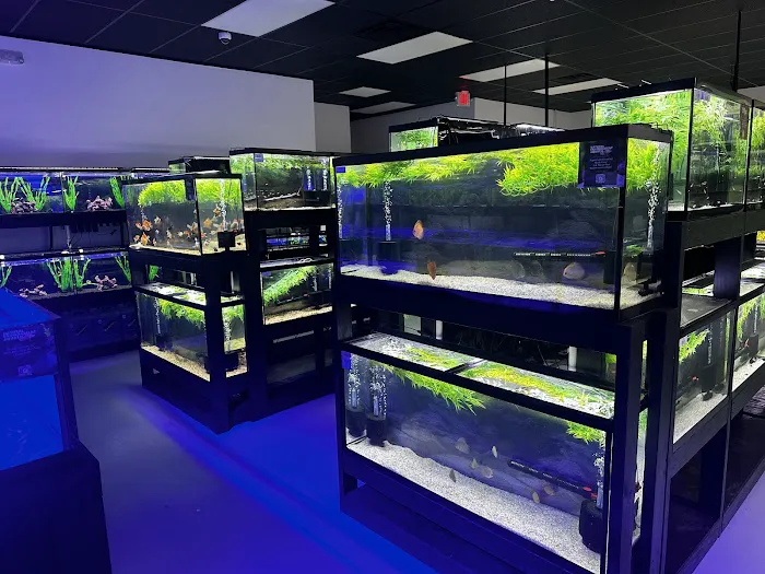 Natural Environment Aquatix 4