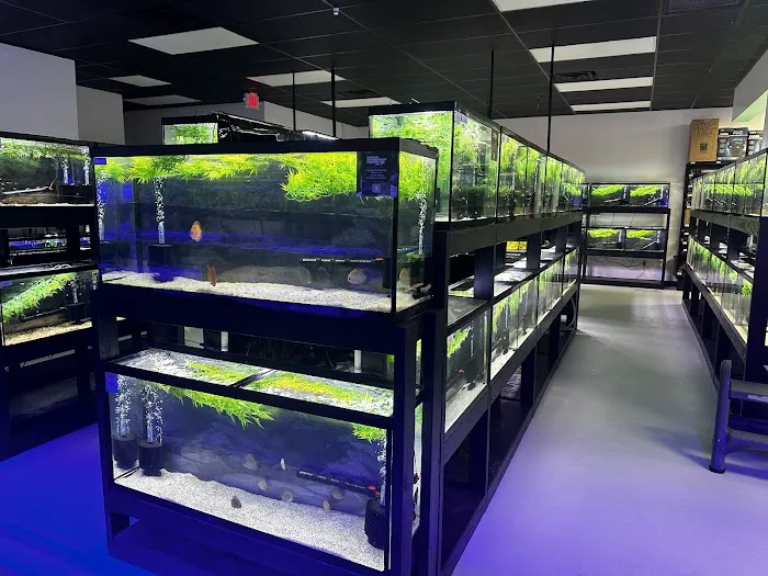 Natural Environment Aquatix 10