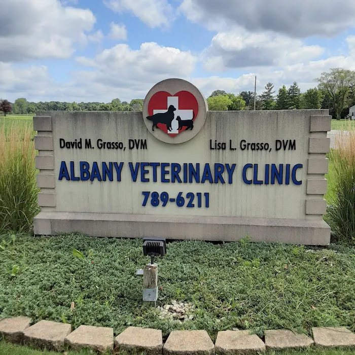 Albany Veterinary Clinic Inc. 12