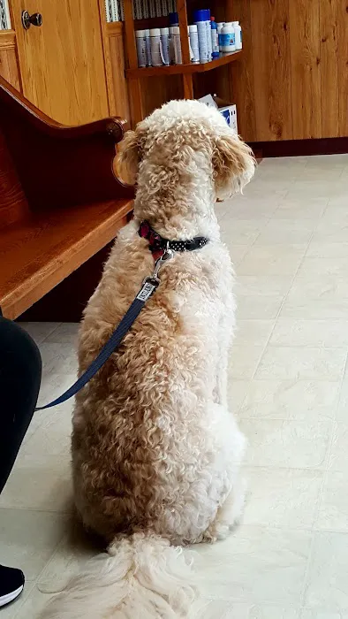 Eaton Veterinary Clinic 12