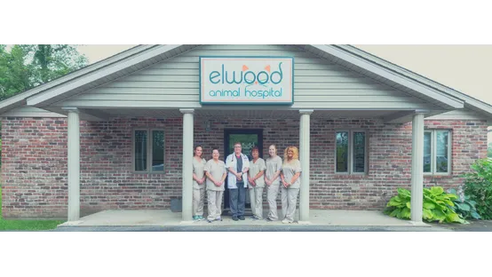 Elwood Animal Hospital 7