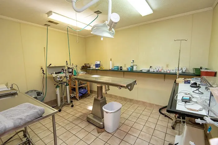 Elwood Animal Hospital 9