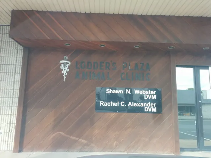 Lodder's Plaza Animal Clinic 12