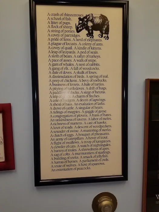 Lodder's Plaza Animal Clinic 12