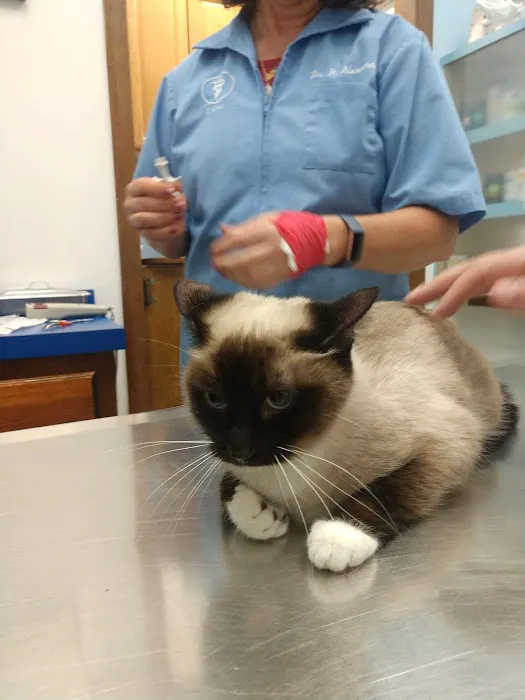 Lodder's Plaza Animal Clinic 12