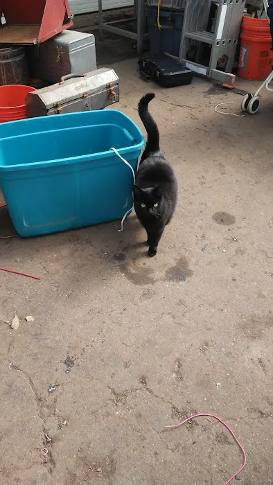 Lodder's Plaza Animal Clinic 12