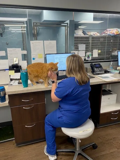 West Side Animal Clinic 12