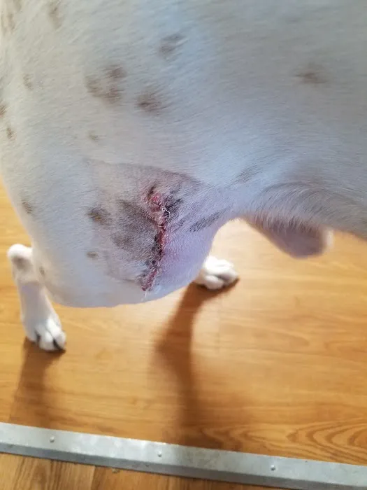 West Side Animal Clinic 12