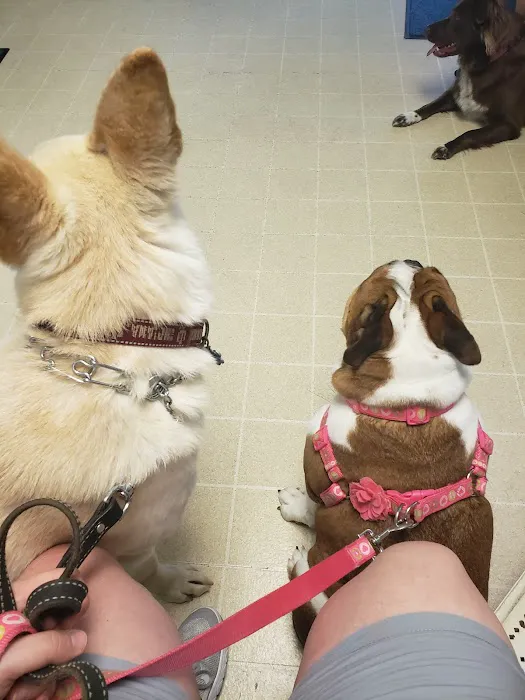 West Side Animal Clinic 12
