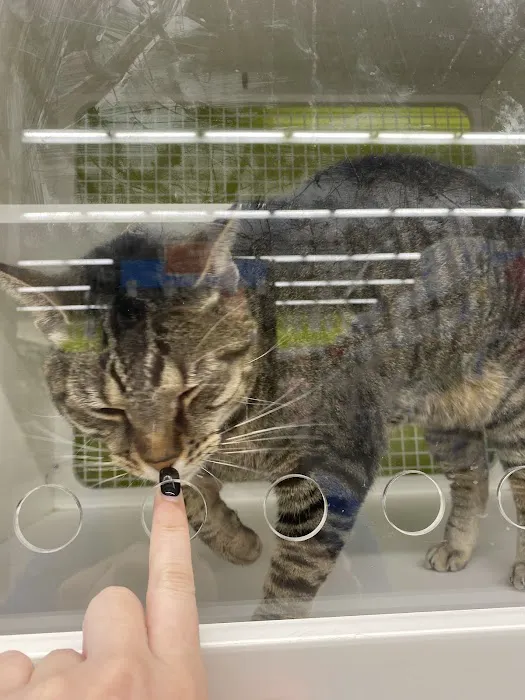 Petco 9