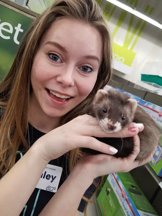 Petco 1