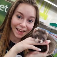 Petco ico