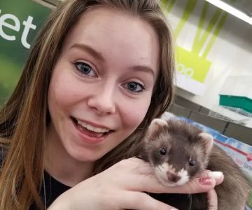 Petco