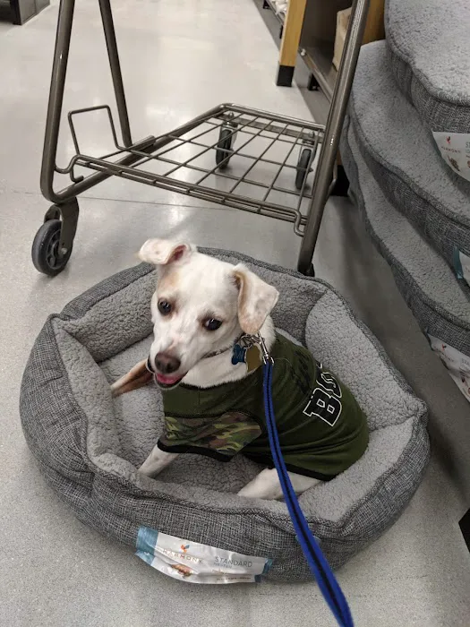 Petco 5
