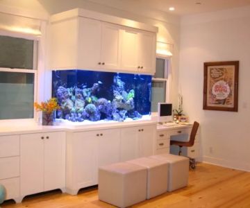 Underwater Oasis - Aquarium Rescue