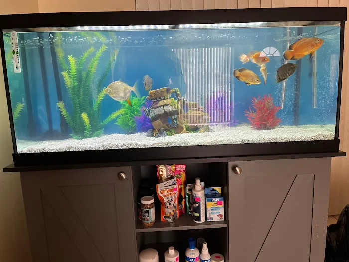 Carrier Aquarium & Terrarium Maintenance 1