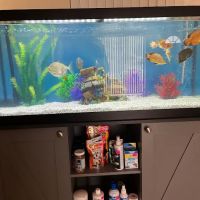 Carrier Aquarium & Terrarium Maintenance ico