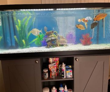 Carrier Aquarium & Terrarium Maintenance